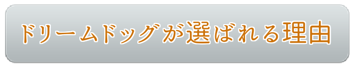 ドリームドッグが選ばれる理由