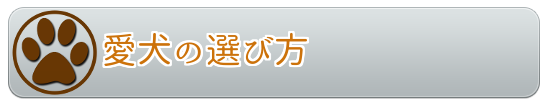 愛犬の選び方