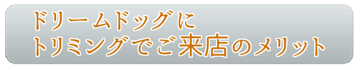 ドリームドッグにトリミングでご来店のメリット