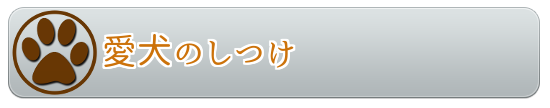 愛犬のしつけ