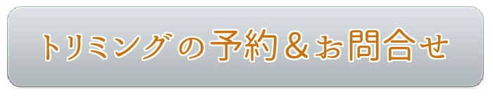 トリミングの予約＆お問合せ